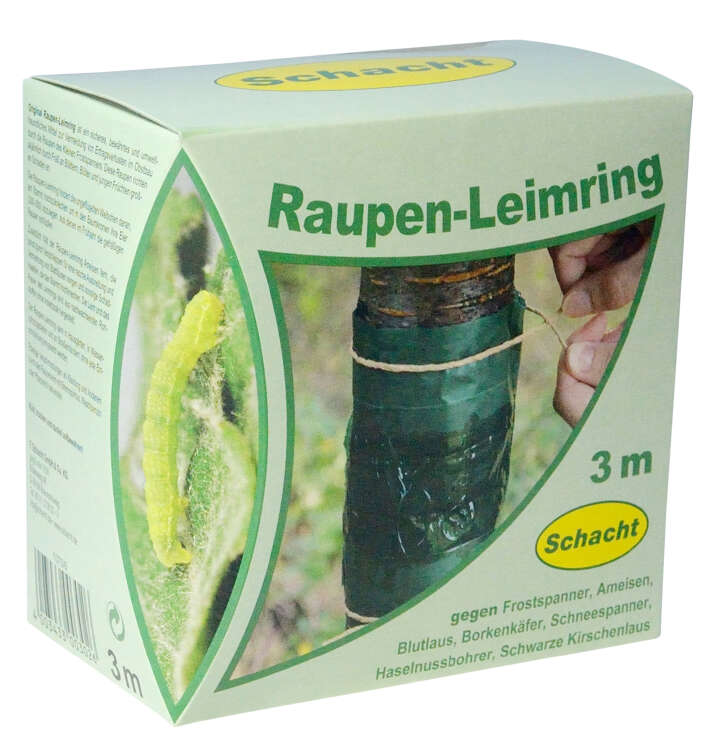 Schacht Raupen-Leimring